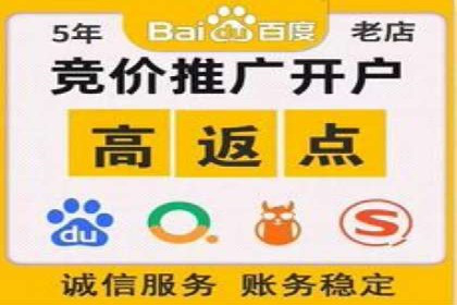 SEM托管服务助力中小企业快速崛起案例